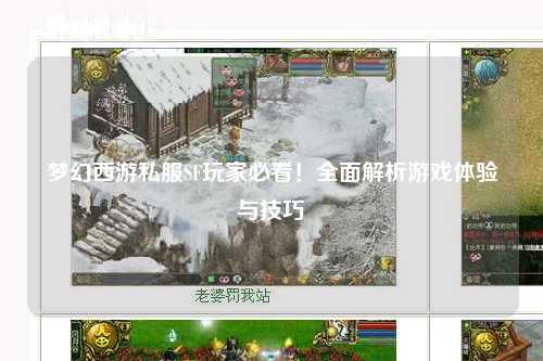 夢幻西游私服SF玩家必看！全面解析游戲體驗與技巧