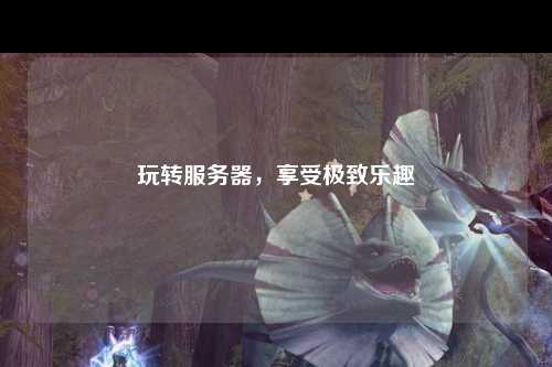 玩轉(zhuǎn)服務(wù)器，享受極致樂趣