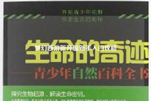 夢(mèng)幻西游新開服新手入門攻略