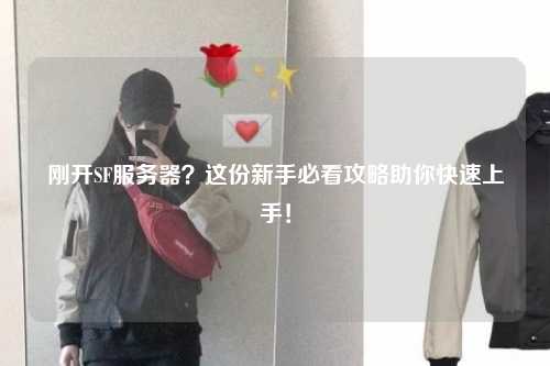 剛開SF服務(wù)器？這份新手必看攻略助你快速上手！